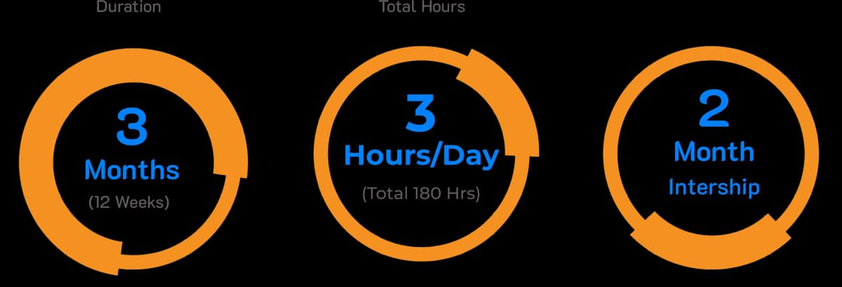 program overview infograph